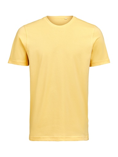 T-SHIRT REGULAR FIT (OCS) – RAY