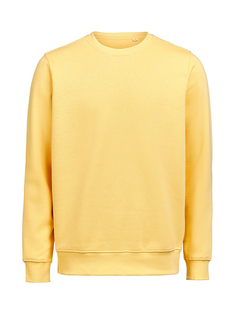 CREWNECK REGULAR FIT (OCS-RCS) – RAY