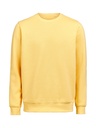 CREWNECK REGULAR FIT (OCS-RCS) – RAY