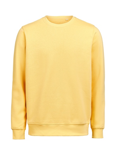 CREWNECK REGULAR FIT (OCS-RCS) – RAY