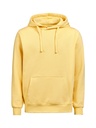 HOODIE REGULAR FIT (OCS-RCS) – RAY