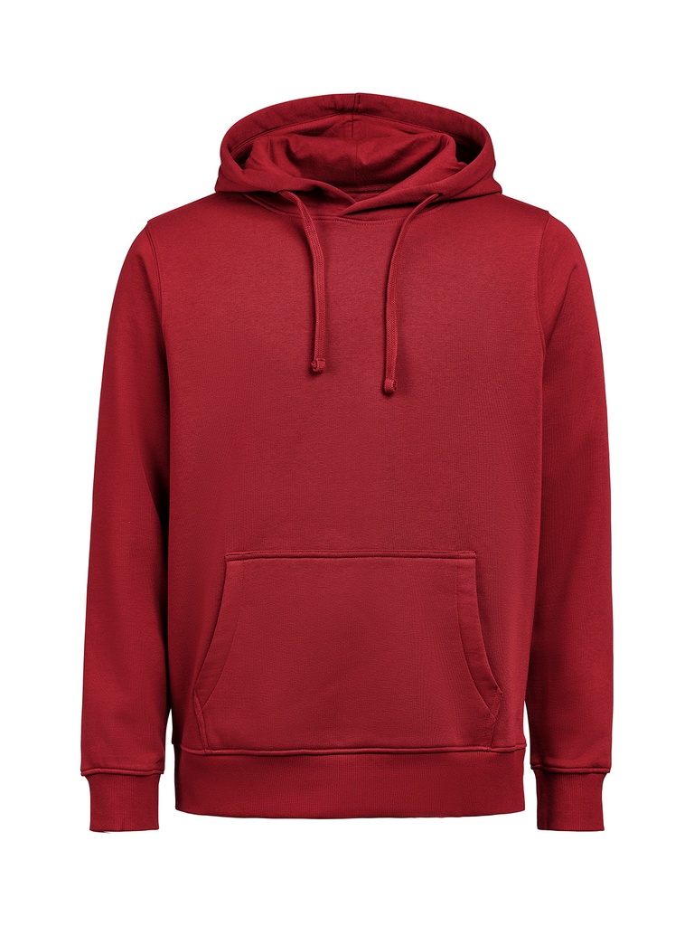 HOODIE REGULAR FIT (OCS-RCS) – BRICK