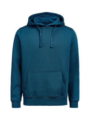 HOODIE REGULAR FIT (OCS-RCS) – ORION