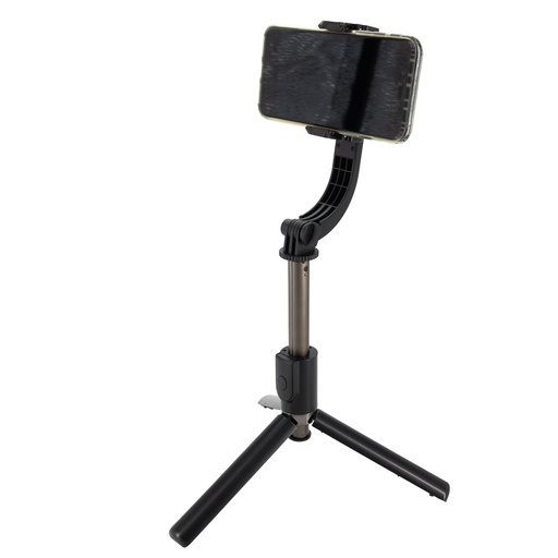 Gimbal EG05900 - Szary