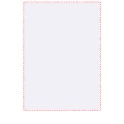 Litho full color – back of sheets (portrait spine right) (do 103 × 148 mm)