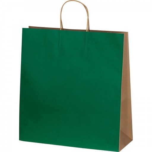 Torba papierowa duża 120 g/m2 GUS 61817 - Zielony