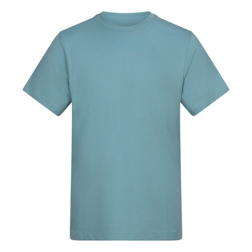 T-shirt Klasyczny Bawełniany AWT002 - Seafoam