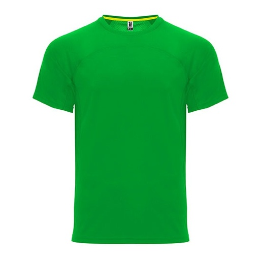 T-shirt funkcyjny raglanowy RY6401 - Fern Green