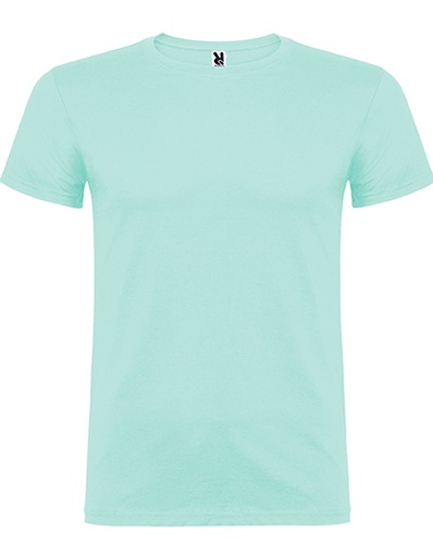 Koszulka męska z krótkim rękawem RY6554 - Mint 98
