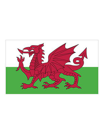 Flag Wales printwear  - Flagi