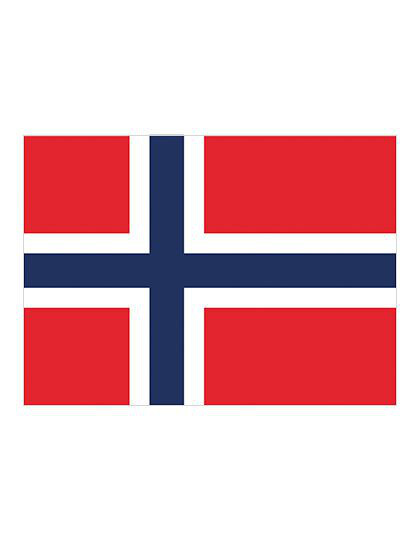 Flag Norway printwear  - Flagi