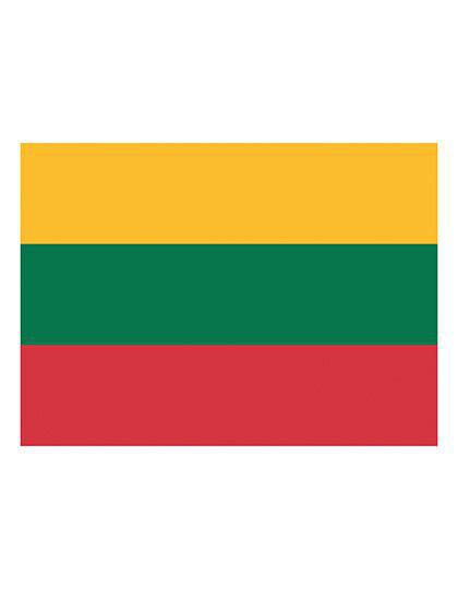 Flag Lithuania printwear  - Inne